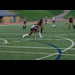 Field Hockey